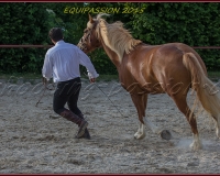 2-13JUIN 0256